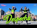 Despechá - Rosalía / Dance coreo 💃🏻 - Euge Carro ⚡️