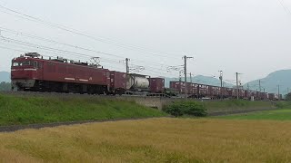 【JR貨物】１０６３レ ＥＤ７６-１０２１ ＆ ２０８２レ ＥＨ５００-４８