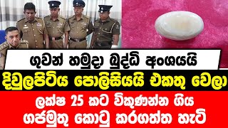 ලක්ෂ 25 කට විකුණන්න ගිය ගජමුතු කොටු කරගත්ත හැටි