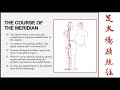 The bladder meridian of the foot taiyang part 1