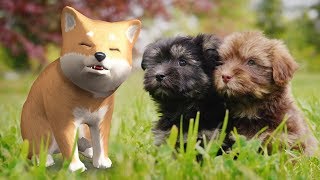 Maps And Globes For Kids Noodle Kidz Educational Video Videos For Kids