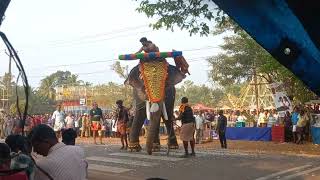 ആന ഇടഞ്ഞു 2024 eliphant attack kerala 2024