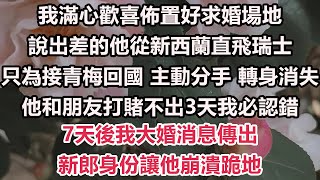 我滿心歡喜佈置好求婚場地，說出差的他從新西蘭直飛1193 公里去瑞士 只為接小青梅回國吃蝦，主動分手 轉身消失，他和朋友打賭不出3天我必認錯，7天後我大婚消息傳出，新郎身份讓他崩潰跪地#情感故事