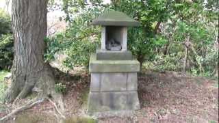 【鎌倉の遺構】建長寺向いの山の上のやぐらとほこら