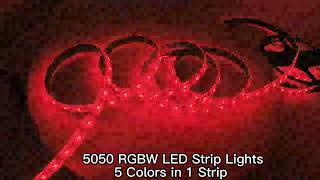 5050 RGBW LED Strip Lights 5 Colors in 1 Strip