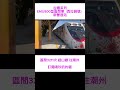 ［台鐵系列］emu800型區間車（西拉雅塗裝） 新營進站 3211次 經山線 往潮州 喝珍奶的貓