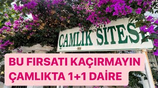 ALTINKUM ÇAMLIK TA DENİZE 500m UZAKLIKTA 1+1 İŞTE KAÇMAZ FIRSAT 1.260.000₺ #didim #didimdesatılık