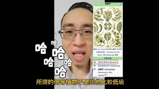 傻傻分不清楚！？藍藻與綠藻有什麼不同！？