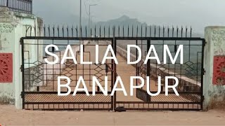 🥰Salia Dam 🥰(Banpur)🥰👌