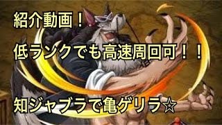 【トレクル】低ランクでも高速周回！カメゲリラ用　知ジャブラ紹介！！