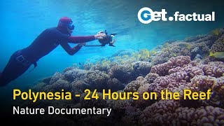 24 Hours in Polynesia's Underwater Paradise | Full Documentary