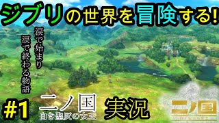 #1【二ノ国 -白き聖灰の女王-】ジブリの世界を冒険するっ‼Ni No Kuni Wrath of the White Witch【PS3名作・神ゲー 初見プレイ】