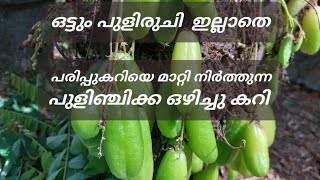 പരിപ്പ് ചേർക്കാതെ രുചി ഏറിയ പരിപ്പുകറി ആണ് എന്നു തോന്നും /ഒഴിച്ചു കറി