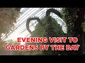 Gardens by the Bay Visit with Light Show || Walking Singapore