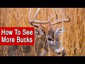 5 Ways To See More Bucks While Deer Hunting | Public or Private Land