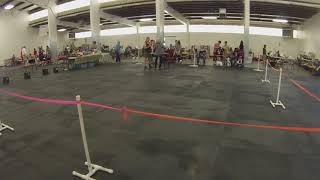 Maze UKC Show Conformation