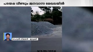 ഇടുക്കിയിൽ പടയപ്പ വീണ്ടും ജനവാസ മേഖലയിലിറങ്ങി