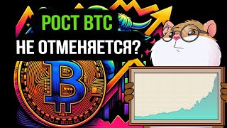 Какие перспективы у Bitcoin? Что с альтами? Обзор рынка