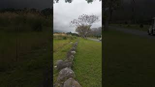 新光兆豐農場•花蓮Hualien