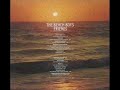 The Beach Boys -- Transcendental Meditation