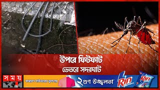 ডেঙ্গু: স্বাস্থ্য অধিদফতরই এডিস মশার চারণভূমি | Department of Health | Aedes Mosquito | Dengue