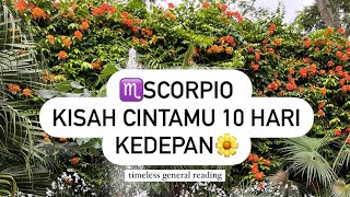 ♏️SCORPIO,KABAR CINTA♥️UNTUKMU DI10 HARI KEDEPAN🌼 #timeless #tarotputrisolo #generalreading #scorpio