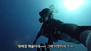 이집트 후루가다 스쿠버다이빙 여행 ( 10/15 ~ 11/03/24  ) Day - 10, 물고기가 비처럼 Hurghada Diving