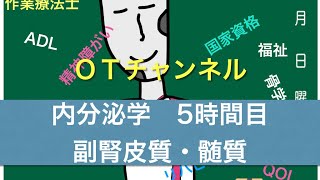 内分泌学(副腎皮質・髄質)　5時間目　「作業療法士（OT）の為の国家試験対策」