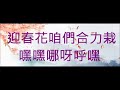 no 373 迎春花 張露 國語 娛己娛人卡拉ok 特大字幕