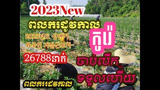 2023ថ្មី​ពលករដូវកាល(កូរ៉េចាប់បើកទទួលហើយ)외국인 겨절근로자26788명