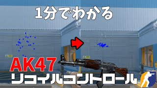 【CS2】1分で分かるAKの使い方　How to use AK47