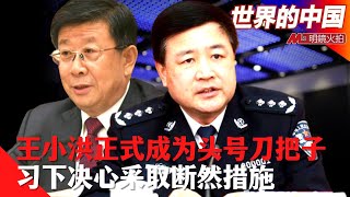 王小洪正式成为头号刀把子，习下决心采取”断然措施“；联合国、白宫都为她发声，彭帅太帅，张高丽不妙；央视立功心切竟发照片暗示彭帅身处险境 |《世界的中国》