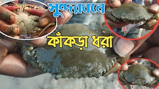 Catching Crabs In Sundarban ||Jharkhali Sundarban||Adventure Of Sundarban