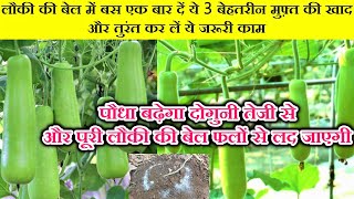 लौकी में मुफ्त की ये 3 खाद डालें और पाएं ज्यादा से ज्यादा लौकी / Best Fertilizer For Bottle Gourd