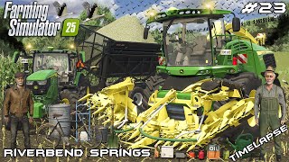 HARVESTING MAIZE SILAGE WITH JOHN DEEREs | Animals on RIVERBEND | Farming Simulator 25 | Episode 23