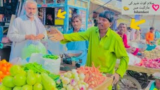 Islamkot Market Tour | Tharparkar volgs | vlogs video | Islamkot Bazaar Ki Sair | WildlifeV LOGS TV