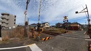 鹿児島散歩 JR重富駅～JR姶良駅