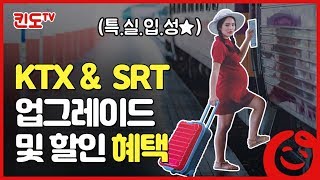 [킨도TV]임산부 정부 혜택 3편) KTX와 SRT 업그레이드 및 할인혜택