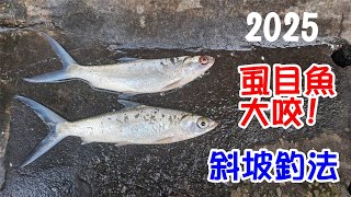 [釣魚達人#62] 2025冬天寒風中釣烏魚+虱目魚!