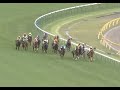 カワカミプリンセス 2009年 第4回ヴィクトリアマイル gi 優勝馬：ウオッカ 実況：ラジオnikkei