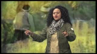 ዘልኣለም  ሸዊት መዝገቦ/Ethiopian music shewit mezgebo