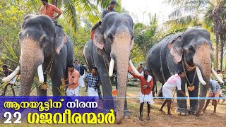 ആനയൂട്ടിന് നിരന്ന ഗജനിര 🔥😎 | Ganesh Fort Chittanda | Ganesh Fort Chittanda Aanayoottu