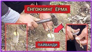 ËНГОКНИНГ ËРМА ПАЙВАНДИ. 2024.21.МАРТ