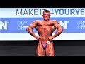 Brad Willis (GB), NABBA Universe 2017