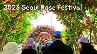 장미가 만개한 2023 서울장미축제 | 2023 Seoul Rose Festival in full bloom | 4K ASMR