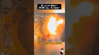 鳥が飛行機のエンジンに吸い込まれたら..