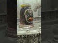 Mahakal Bhasma Aarti Today | #mahakal #mahakaleshwar #mahadevstatus