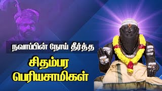 நவாப்பின் நோய் தீர்த்த சிதம்பர பெரியசாமிகள் | Story of Chidambaram periya swamigal @PranavamTV