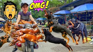 Best dog meat restaurant in Hanoi Old Quarter—crowded for a reason!