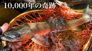 【一万年の奇跡】 世界にただひとつの貴重なDNAに会いに行く May,2022 Hokkaido.Lake Lure Fishing.